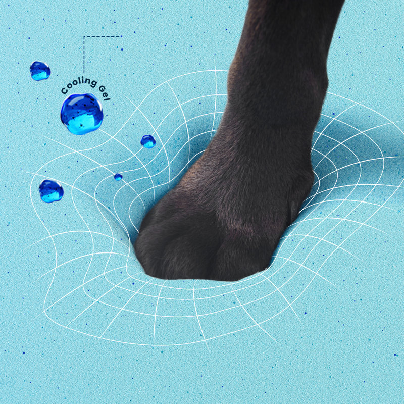 Puppy Paw Orthopedic Memory Foam Classic Dog Pad & Reviews Wayfair